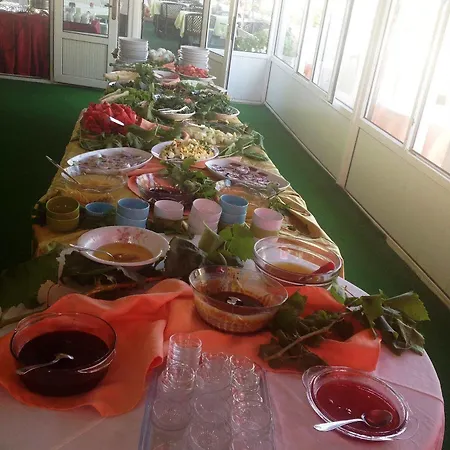 מלון Caria Premium דליאן