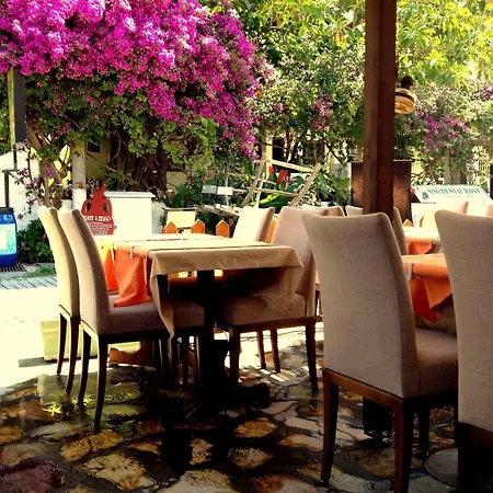 Caria Premium דליאן